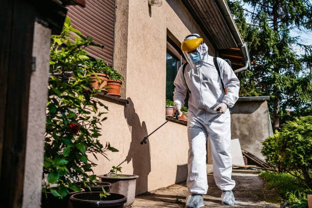 Best Exterminator Services  in Prophetstown, IL