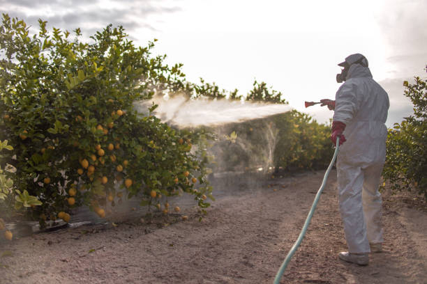 Best Emergency Pest Control  in Prophetstown, IL