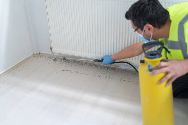 Best Cockroach Control Services  in Prophetstown, IL