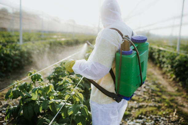 Reliable Prophetstown, IL Pest Control Solutions